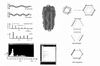 https://www.emd.tu-bs.de/files/gimgs/th-182_182_sounddiagram.jpg